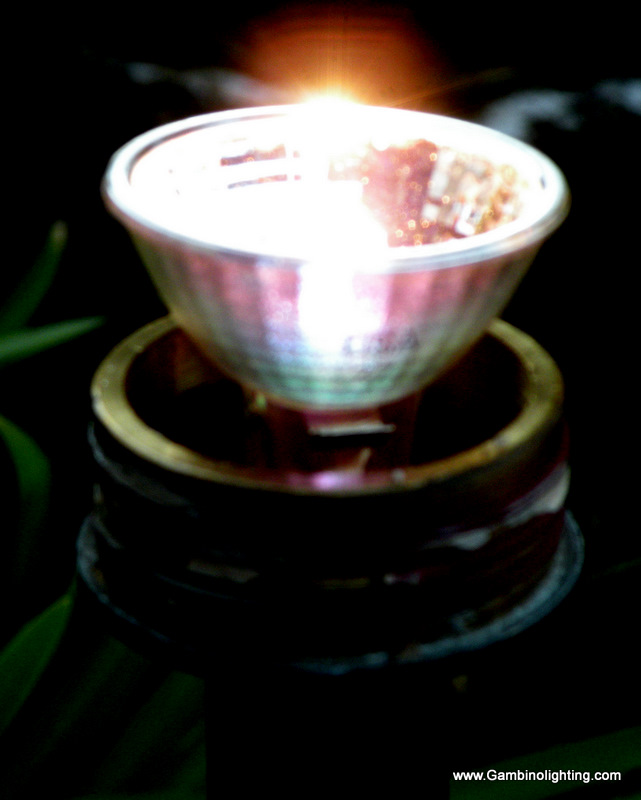 DSCN0893