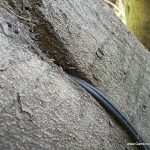 DSCN0613