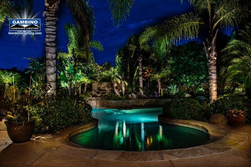 Tropical pool