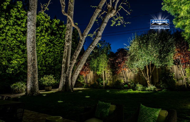 back yard patio view