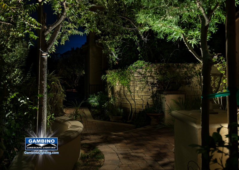 small garden space