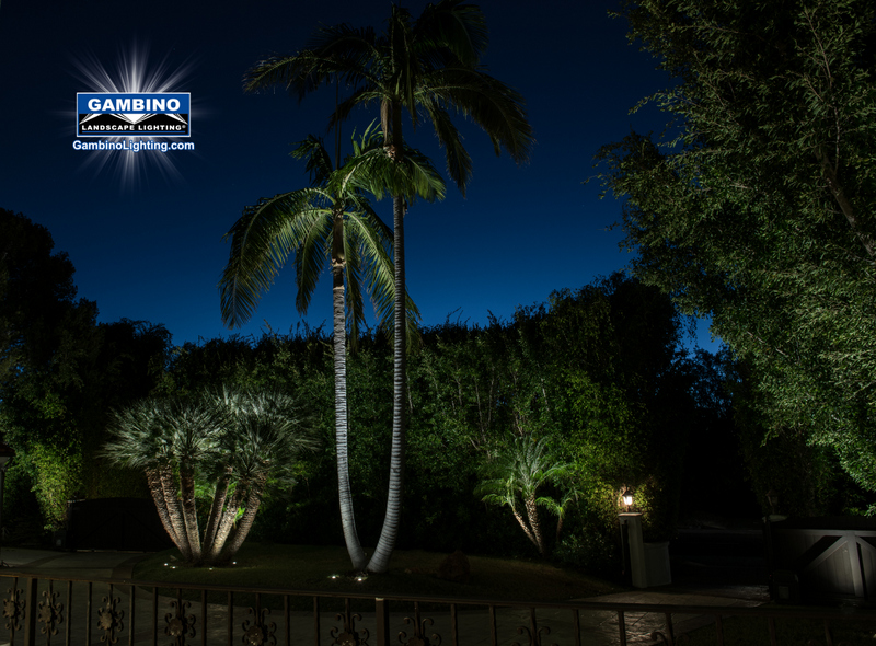 1-double palm