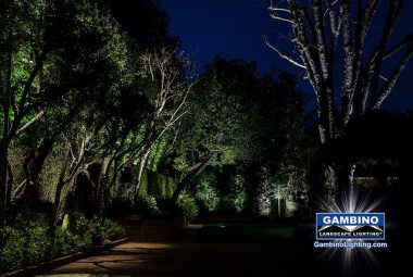 moonlighting-2-1024x683