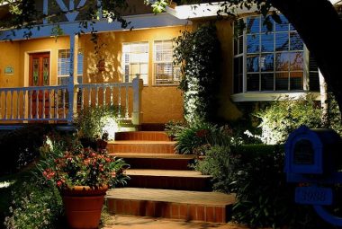 path-and-steps-2-683x1024