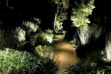 path-and-steps-3-683x1024