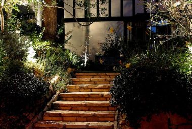 path-and-steps-5-683x1024