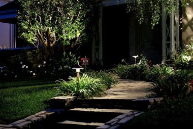 path-and-steps-6-683x1024