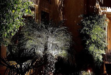 shadowing-3-683x1024