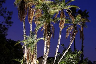 uplighting-1-683x1024