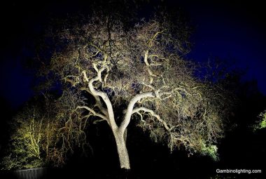 uplighting-10-1024x683