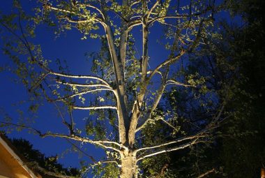 uplighting-2-683x1024