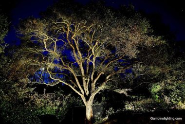 uplighting-6-1024x683