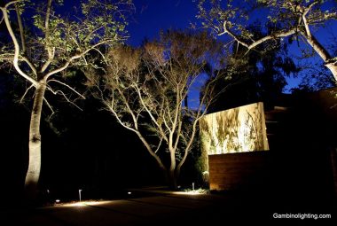 uplighting-7-1024x683