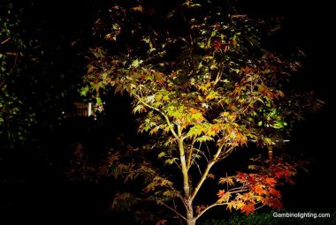 uplighting-9-1024x683