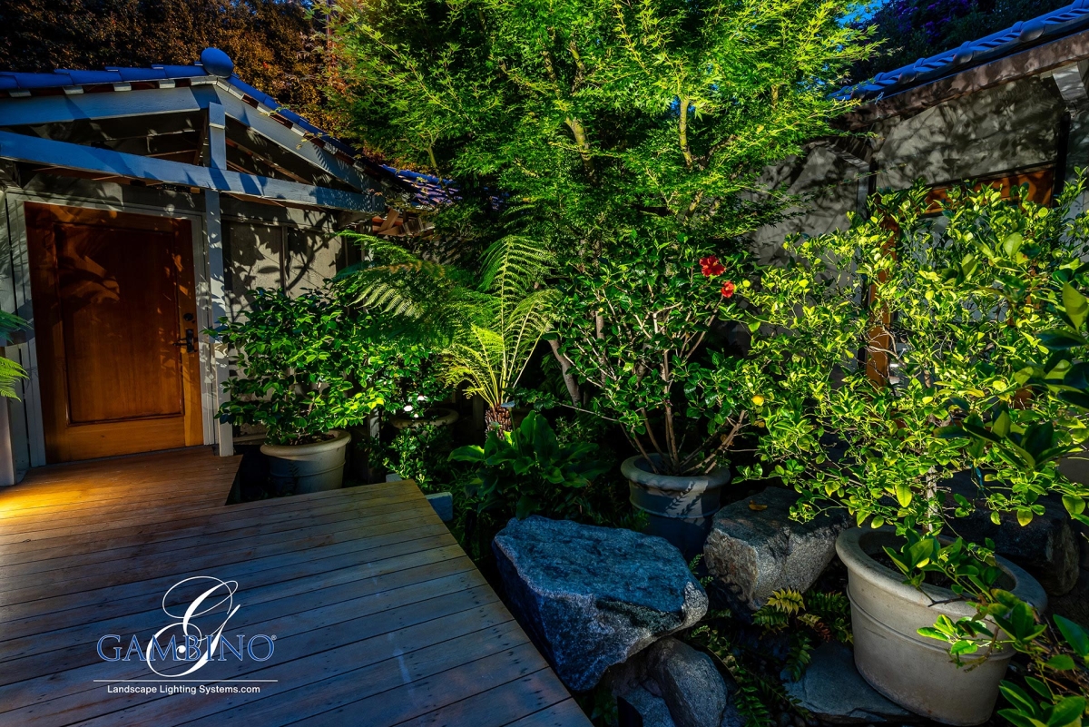 Mancuso-Gersh-1-1-of-1