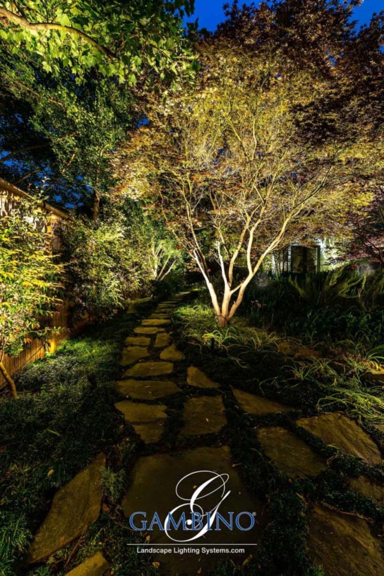 Mancuso-Gersh-23-1-of-1-1