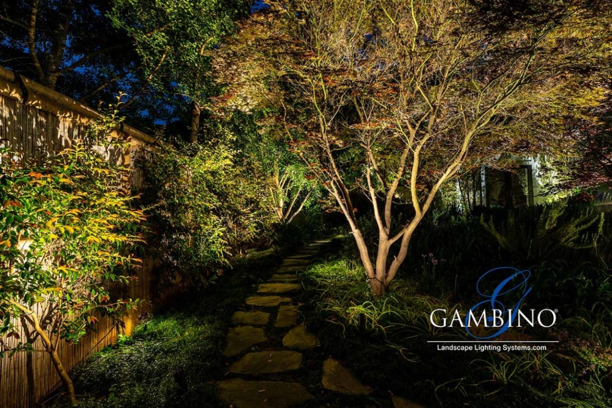 Mancuso-Gersh-24-1-of-1