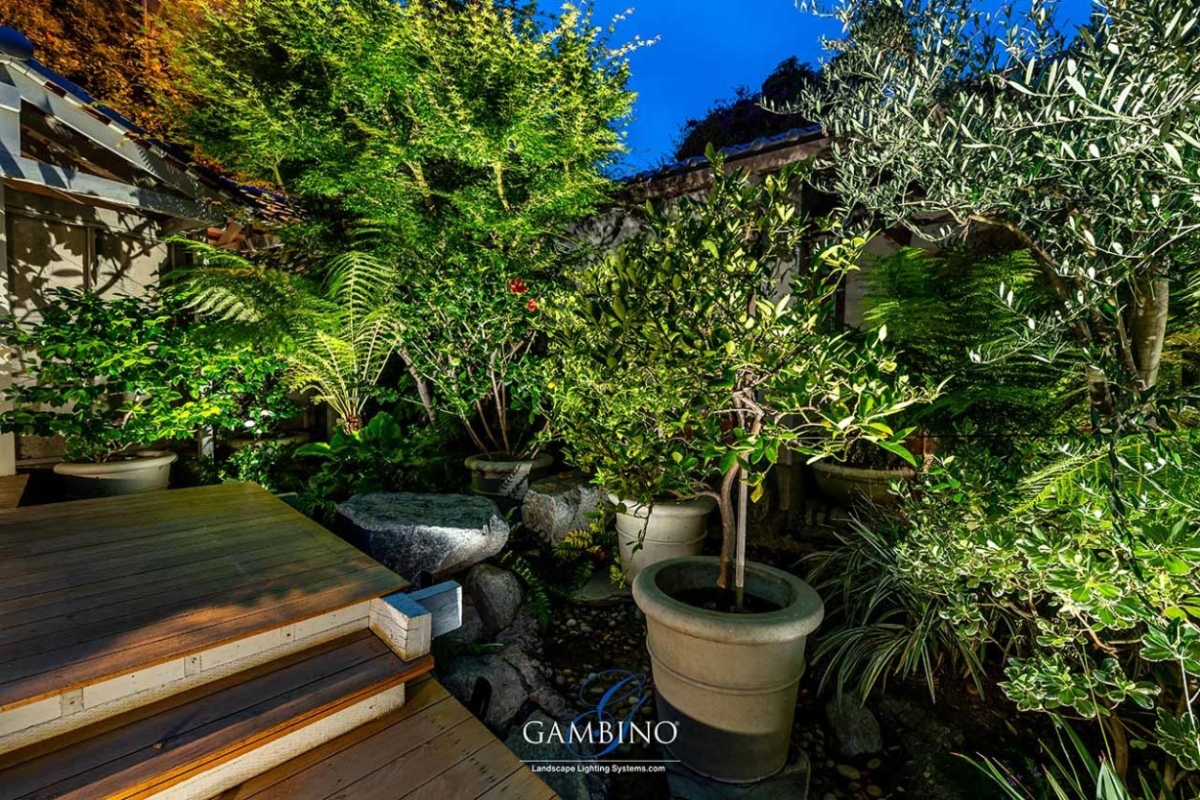 Mancuso-Gersh-4-1-of-1