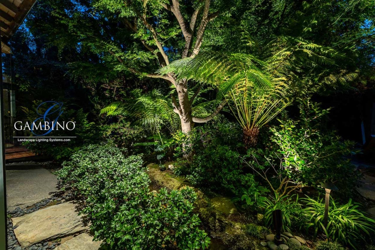 Mancuso-Gersh-7-1-of-1